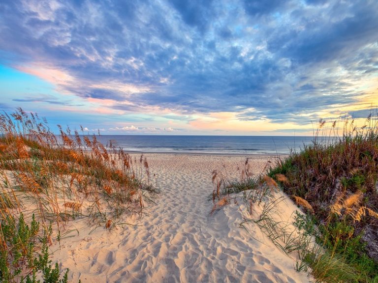 Emerald Isle NC coastal dunes